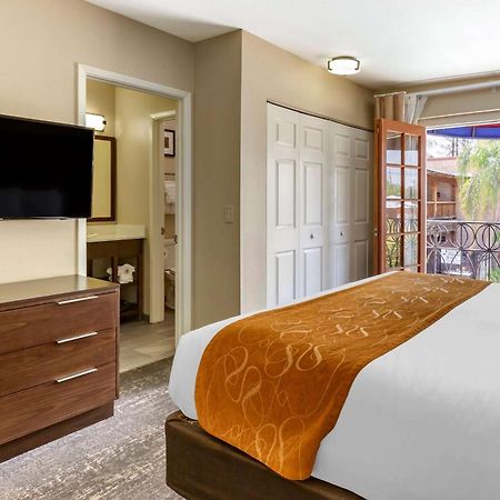 Comfort Suites At Sabino Canyon Tucson Rum bild
