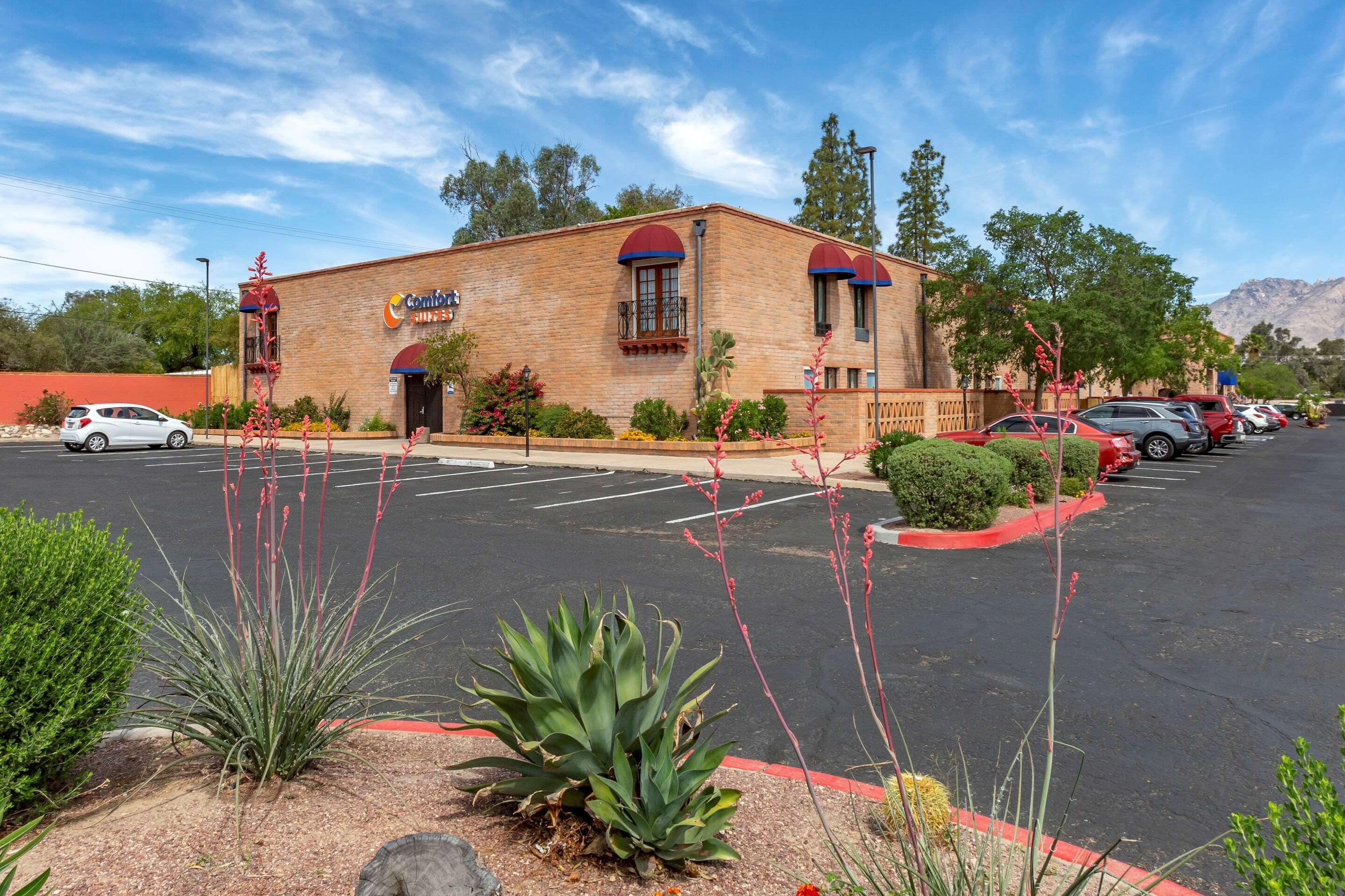 Comfort Suites At Sabino Canyon Tucson Exteriör bild