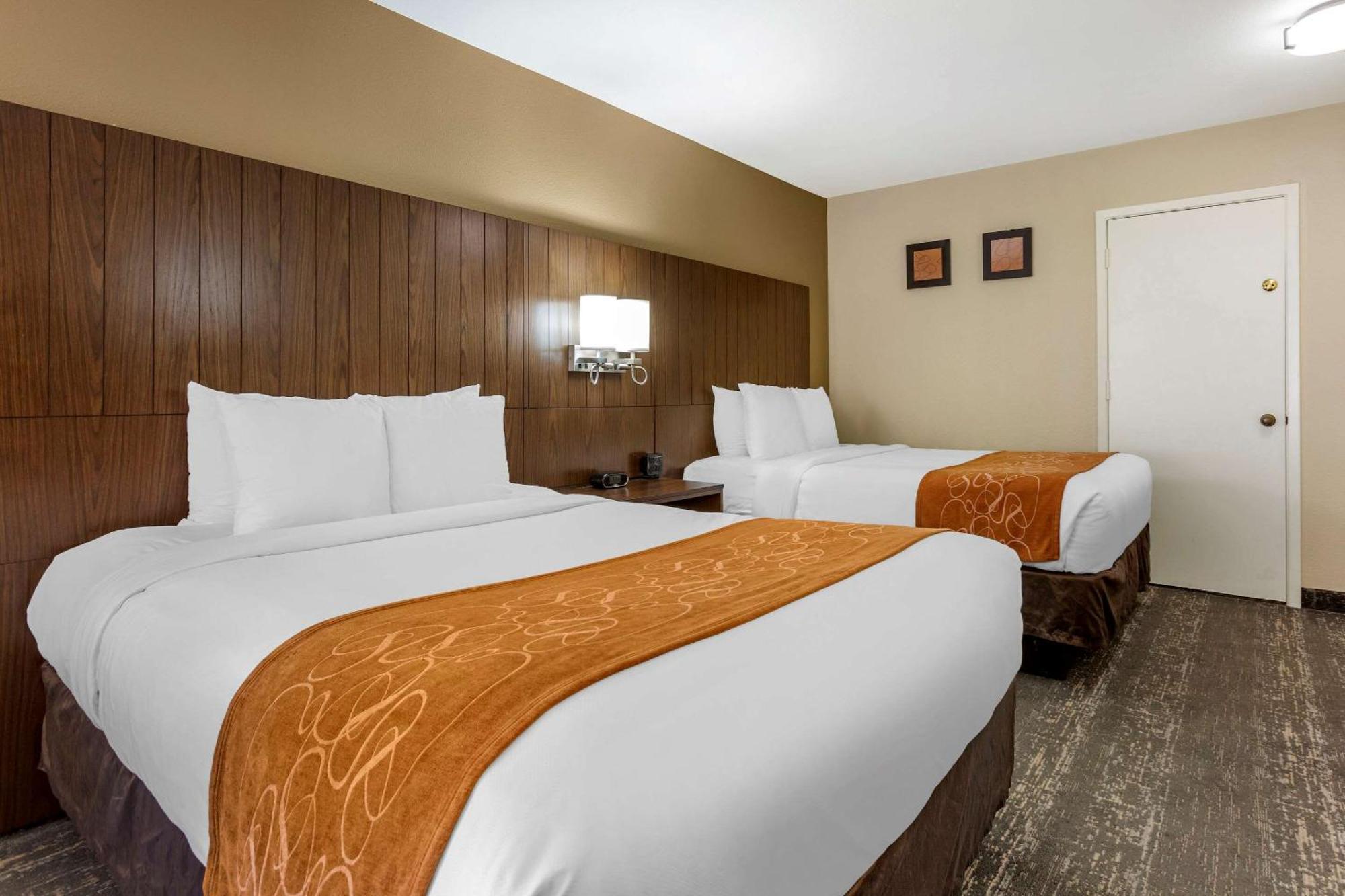 Comfort Suites At Sabino Canyon Tucson Rum bild